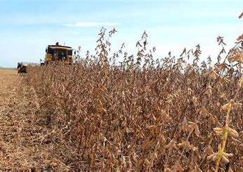 El país/economía de Paraguay alcanzó el 5,2% en el primer trimestre