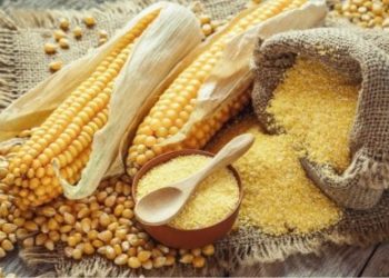 «Anec» eleva sus estimaciones de las exportaciones brasileñas de maíz y soja durante julio