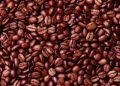Cooxupe brasileño cosecha el 50,5% de la cosecha de café de la temporada actual