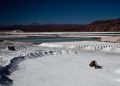 Competencia internacional de «oro blanco.»