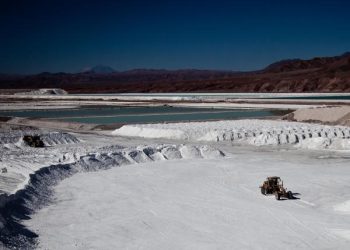 Competencia internacional de «oro blanco.»