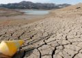 La sequía está » quemando » Mèxico y el agua potable se está acabando