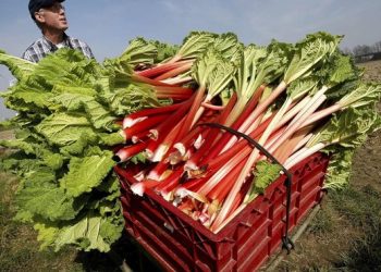 Acuerdo comercial alimenta los temores de los agricultores europeos y latinoamericanos