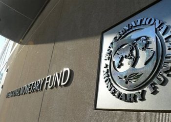 Argentina paga parcialmente el pago del préstamo del FMI en yuanes