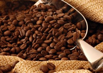 Las exportaciones de café de Brasil caen un 10% en la temporada 2022/2023