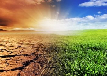 Actividades agrícolas en América Latina