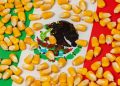 La producción de maíz en México aumenta durante 2023