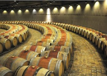 Las bodegas en América Latina son las mejores del mundo