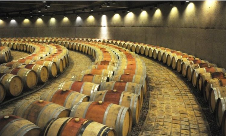 Las bodegas en América Latina son las mejores del mundo