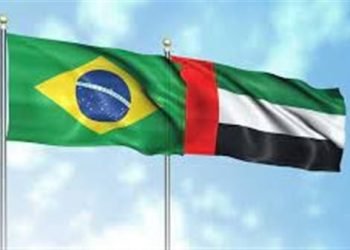 Los Emiratos Árabes Unidos y Brasil comercian con 8.700 millones de AED en 7 meses
