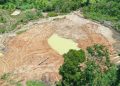Decisión histórica en Ecuador sobre un campo petrolero en la Amazonía