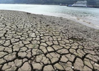 Severa sequía golpea la economía argentina