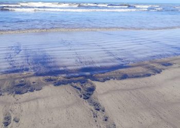 La reserva de petróleo más grande del mundo: ¿cómo matar el medio ambiente y el clima?