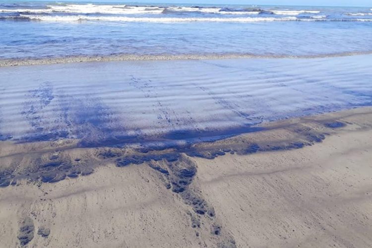 La reserva de petróleo más grande del mundo: ¿cómo matar el medio ambiente y el clima?