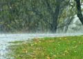 Fuertes lluvias en Chile causan más de mil millones de dólares en pérdidas agrícolas