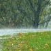 Fuertes lluvias en Chile causan más de mil millones de dólares en pérdidas agrícolas