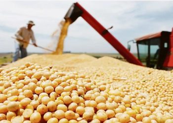 Las zonas rurales pueden ser actores en la próxima economía