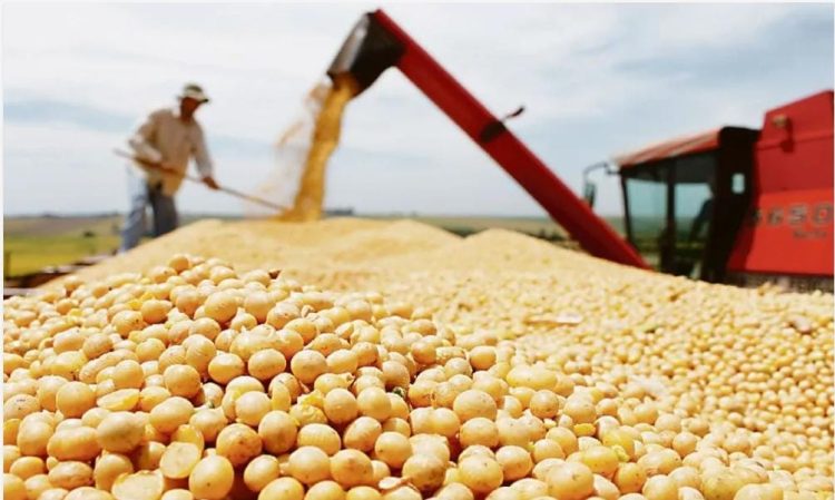 Las zonas rurales pueden ser actores en la próxima economía