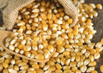 El PPI estadounidense aumenta en julio