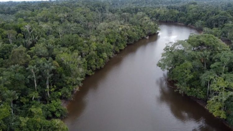 Ecuador prohibió el aceite del Amazonas. Lola brasileña quiere cavar