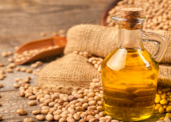 Brasil exporta 70 millones de toneladas de soja de enero a julio de 2023