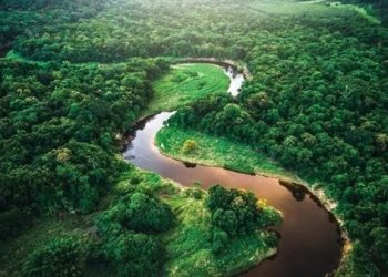 Perú y Estados Unidos concluyen acuerdos para restaurar y proteger la selva amazónica
