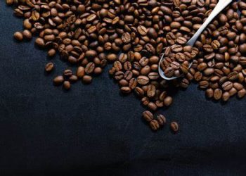 En Brasil, excepcional café extraído de la camada de faisán
