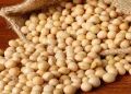 Exportaciones de soja de Brasil aumentan un 36% en septiembre