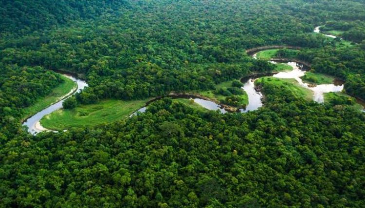 La sequía destruye la Amazonía brasileña.. Bajo nivel de agua en el lago Teve