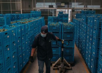 El FMI espera que México crezca un 3,2% este año y que su economía se desacelere en 2024