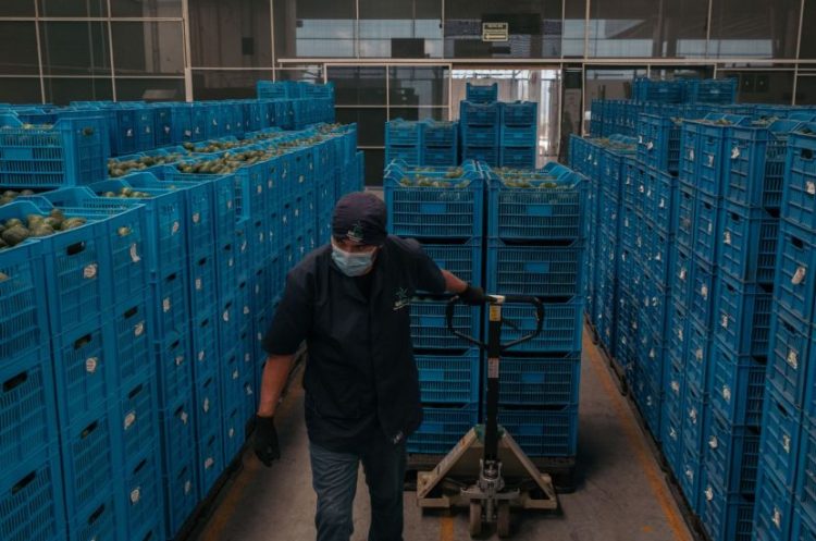 El FMI espera que México crezca un 3,2% este año y que su economía se desacelere en 2024