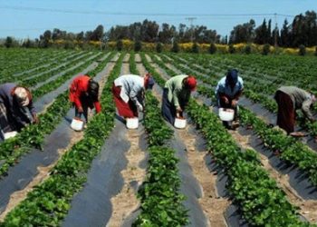 Insta a los viajeros de la administración a pedir al Congreso poderes para reactivar la economía