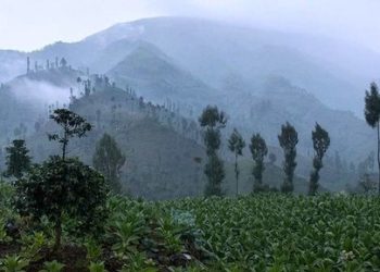 Los negociadores de la COP28 se enfrentan a un «ascenso cuesta arriba».