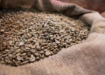 Producción de café en Brasil: apuesta por fuentes y trazabilidad