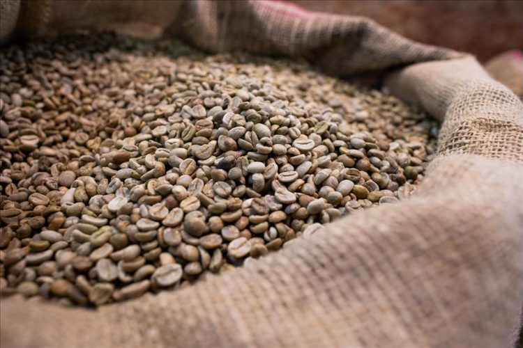 Producción de café en Brasil: apuesta por fuentes y trazabilidad