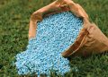 Moscú: Suministro de fertilizantes rusos a Brasil logra seguridad alimentaria mundial