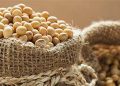 Brasil reduce sus estimaciones de producción de soja debido a cambios climáticos
