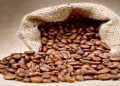 ¿Brasil es el mayor productor de café del mundo?
