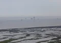 Derrame de petróleo en el Golfo de México deja de bombear 62 mil barriles por día
