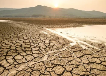 América Latina pierde el 22% de su fértil territorio