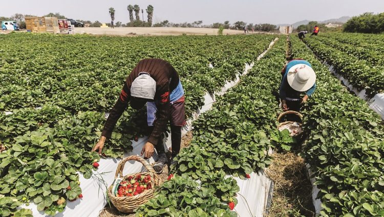Perú… ¡Esperando a El Niño!