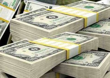 Argentina puede alcanzar a Zimbabue y usar el USD como su moneda oficial