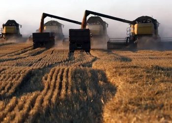 Sequía quema a México