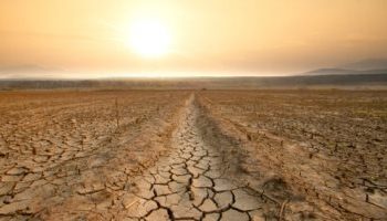 El cambio climático amenaza la seguridad alimentaria mundial. La sequía en los campos de Brasil reduce la producción de café