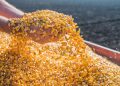 ¿Cómo amenaza el cambio climático a la agricultura?