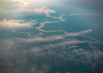 Amazon Box… ¡Un modelo internacional común en Brasil para la protección del clima!