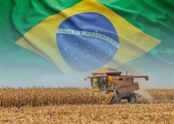 Brasil reduce sus estimaciones de producción de maíz y soja para esta temporada
