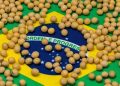 Agricultura estadounidense reduce pronóstico de producción de soja brasileña para 161 millones de toneladas métricas