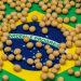 Agricultura estadounidense reduce pronóstico de producción de soja brasileña para 161 millones de toneladas métricas