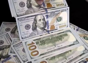 Se avecina un nuevo recorte de divisas. Argentina determina la cantidad de dólares en bancos